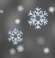 overcast_ -  light snow_ 